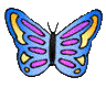 left butterfly