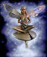Fairy Man