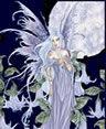 Night Fairy