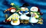 Snow Family