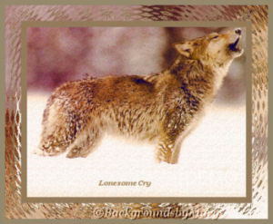Lonesome Cry