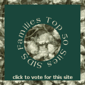 Vote for Hannah's Site!