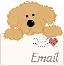 Write To Us