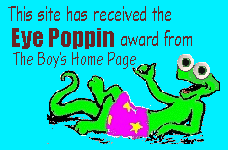 Boy's Home Eyepopin Award