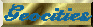 Geocities Logo