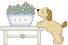 Doggy with flowers