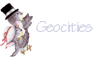 Geo Logo