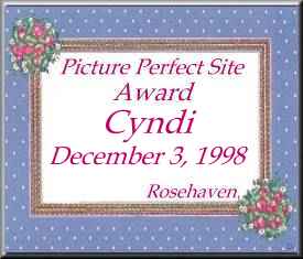 PicturePerfectAward
