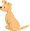 dog wagging tail