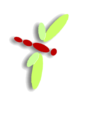 df4
