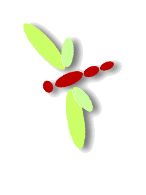 df5