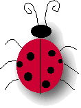 ladybug