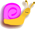 snail