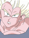 vegeta.gif (48953 bytes)