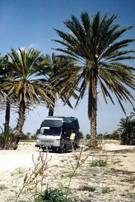 Sous les palmiers de Djerba (Tunisie) avec l'Aigle en 1997