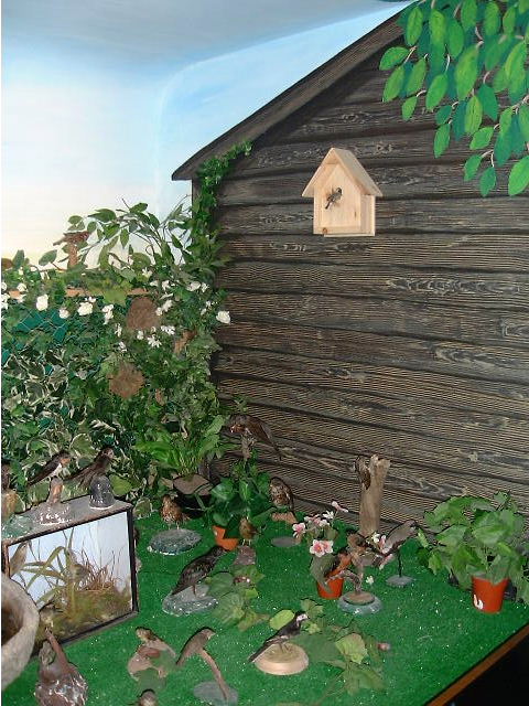 Garden 1