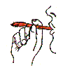 eat_08.gif (2482 bytes)