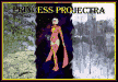 Princess Projectra, Yet Again!