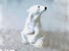 1950 C Bear polar figurine