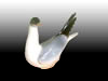 Grey seagull figurine