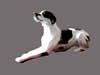 Black pointer