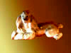 Poodles figurine