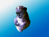 Monkey with a ball figurine
