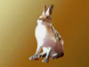 Hare figurine