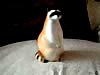 Raccoone figurine