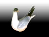 bird figurines