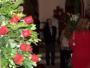 File: HPIM0240.JPG
Date: 27/11/2004