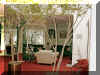 Living Room - After: Used a kiwi paint for the walls and added crown modling around the Persian framed rugs.