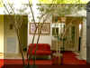 Living Room - as viewed from king chairs.  The birds enjoy the trees.