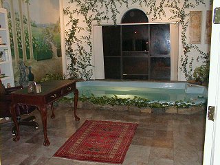View of the Jacuzzi pool in our bedroom