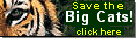 Click on an endangered big cat to support today! It's free because Care2.com sponsors cover the costs. Only one click per day and every day you login, you are entered to win a free trip for two through the Amazon Jungle donated by Adventureseek.com! 
