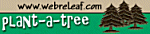 WebReleaf is a joint venture between ENN and American Forests committed to restoring and expanding forests around the U.S. Sponsors pay for the trees you donate and American Forests plants them around the country. Click this button to help ENN and American Forests' Global ReLeaf program plant trees! It's free to you. Every 20 clicks plants a tree to restore forest ecosystems that provide clean air and water for everyone as well as habitats for endangered species and wildlife. 