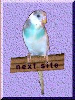 Our Sweet Angel Snowflake will take you to the next in the ring...