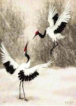 Imagem para download - Aves