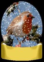 Imagens para downloads - Aves2