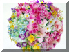 flor26.jpg (142372 bytes)