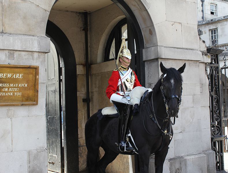 Horse guard