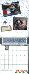 January.gif (169583 bytes)