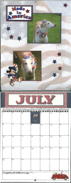 July.gif (174066 bytes)