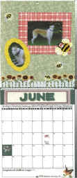 June.jpg (85449 bytes)