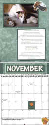 November.jpg (73849 bytes)