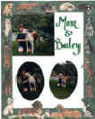 sbbailey3.jpg (43607 bytes)