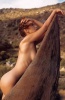 monica057