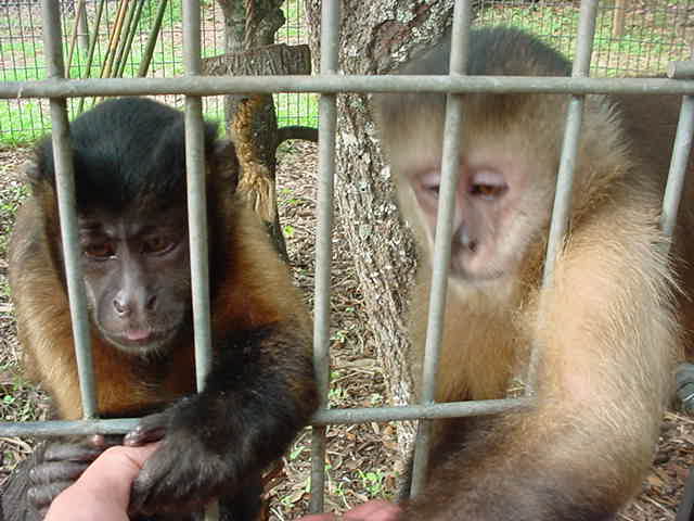 Connie & Buddie have been through a lot together.