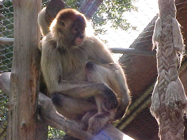Goldie Hawn kicking back as usual.