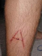 The Scarlet Letter